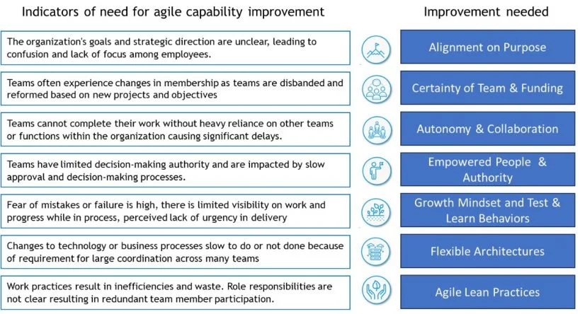 Agile Ceremonies or True Business Agility – Is it time for a Capability Assessment?